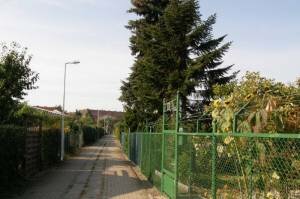 Klicken zum Vergrößern  (Siedlergemeinschaft Sandkrug I, Wedding)